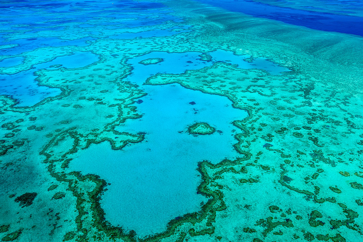 Большой Барьерный риф, Австралия